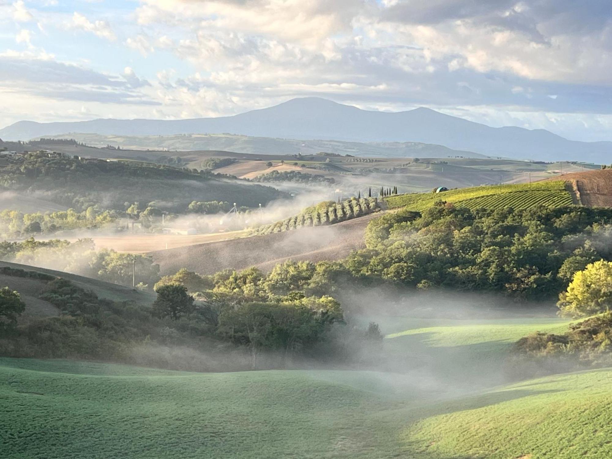 Agriturismo Monsole - Montalcino Bagian luar foto